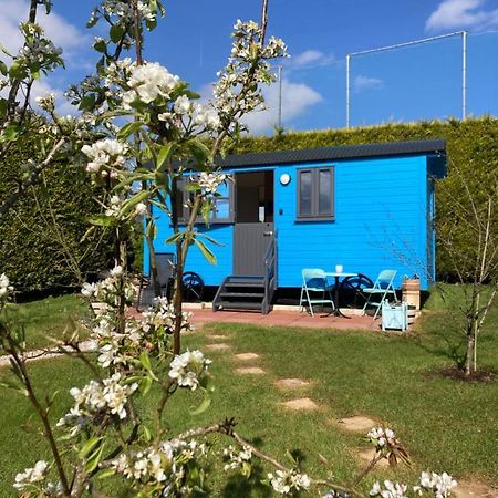 Atlantic Way Shepherd Hut Moville Dış mekan fotoğraf